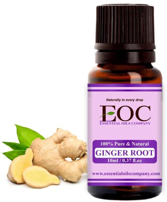 Ginger Root Oil