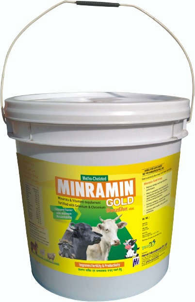 Minramin Gold Powder