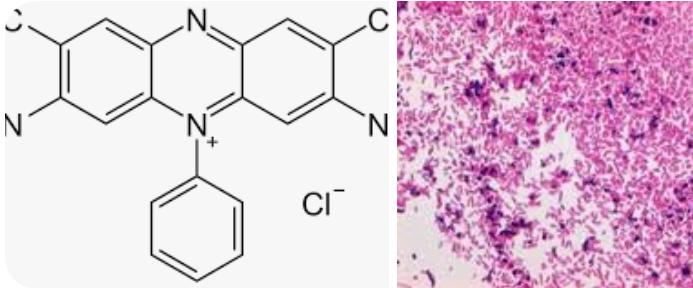 Methyl Diethyl Safranine