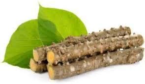 Giloy Herb