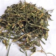 Kalmegh Herb
