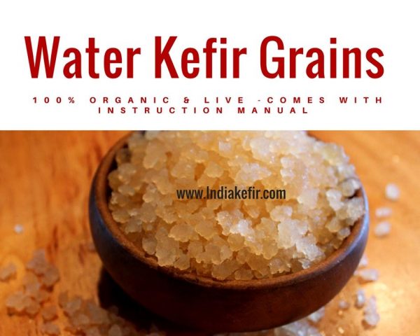 Water Kefir Grains