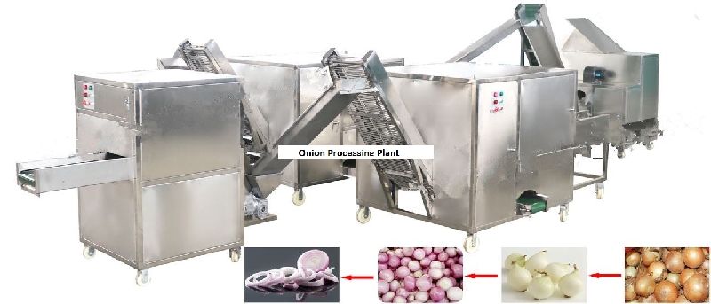 Onion processing machine line