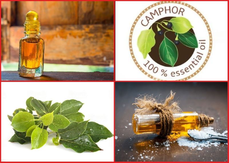 Camphor oil on sale