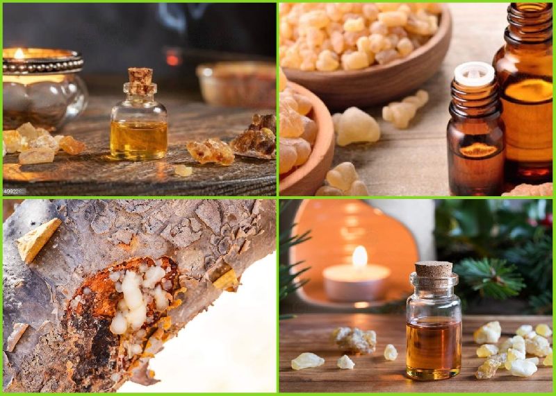 Cinnamon Oil Manufacturer,Cinnamon Oil Supplier and Exporter from Budaun  India