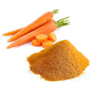 Carrot Malt Powder