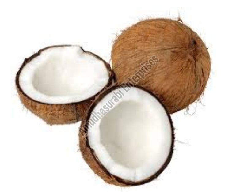 Small Raw Coconut