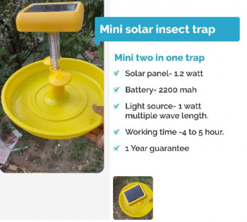 IPM Insect Trap