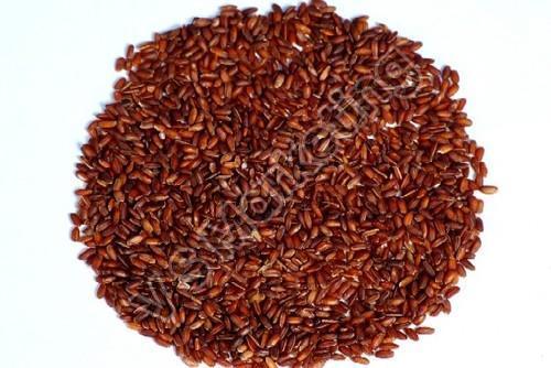 Red Rice