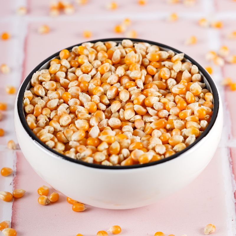 Indian Popcorn Seeds