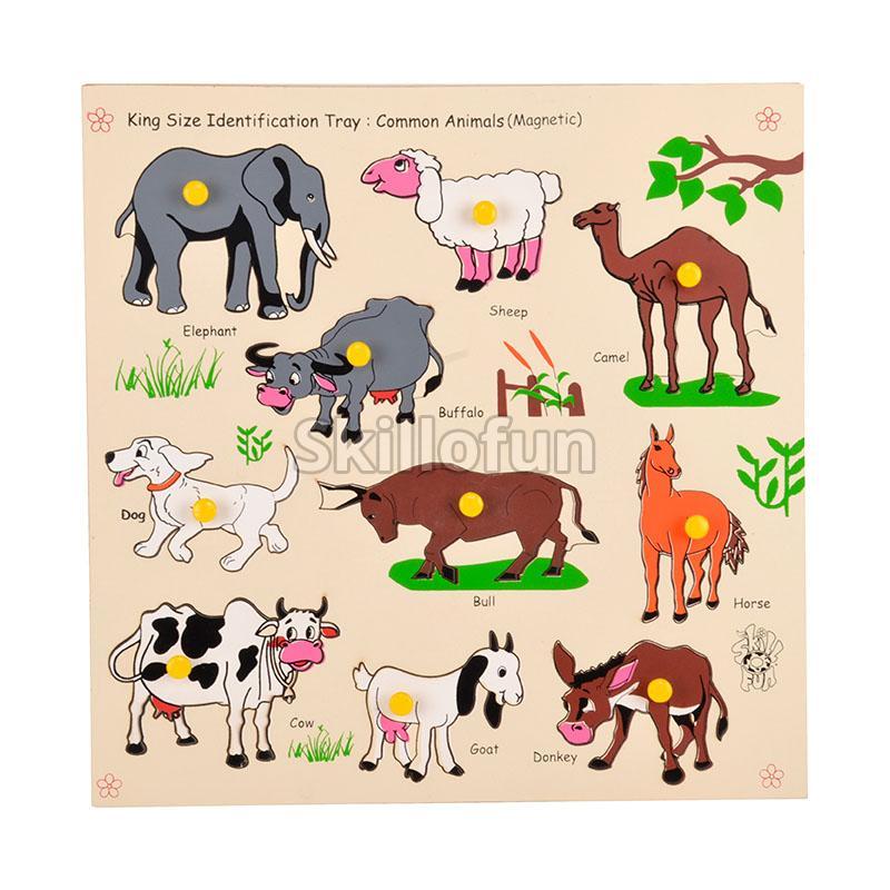 Magnetic King Size Identification Tray