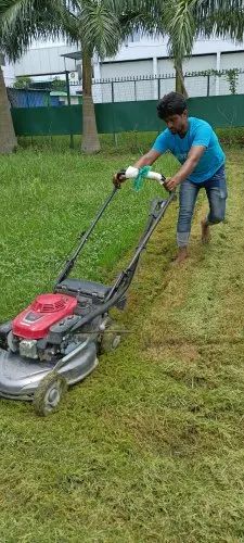 Lawn Grass Cutting Services