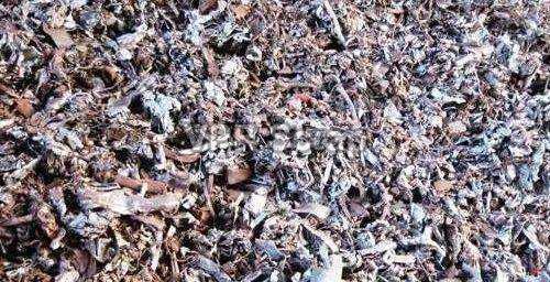 Shredded Scrap