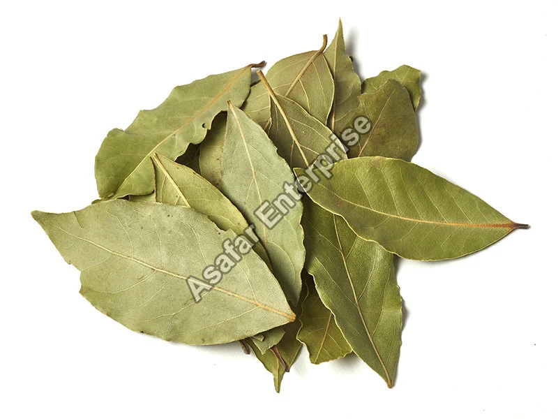 Bay Leaf