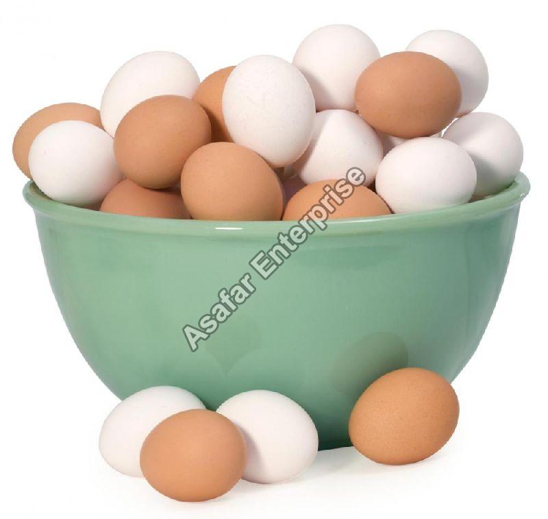 Chicken Eggs