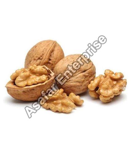 Dried Walnut