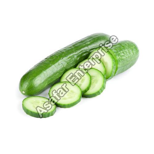 Fresh Cucumber