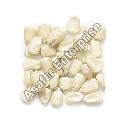 White Maize Seeds