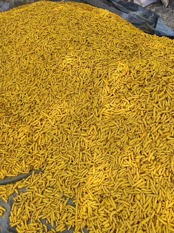 Turmeric Finger