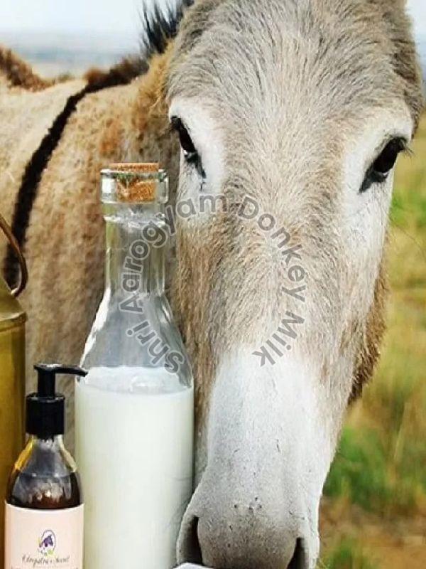 Donkey Milk