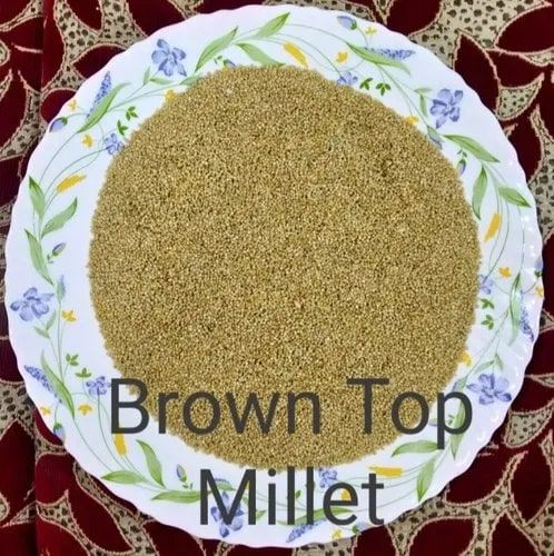 Brown Top Millets