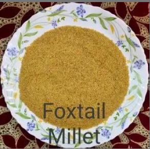 Foxtail Millets