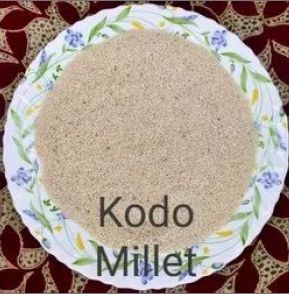 Kodo Millets