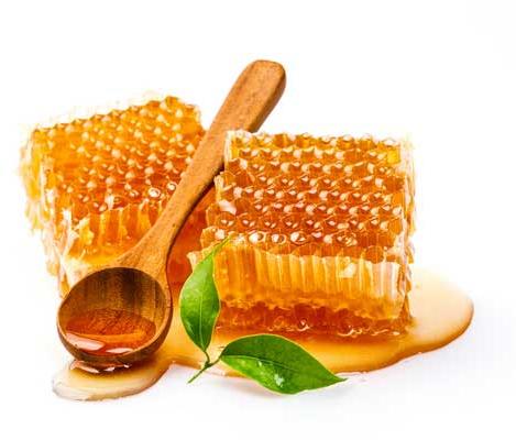 Unifloral Eucalyptus Honey