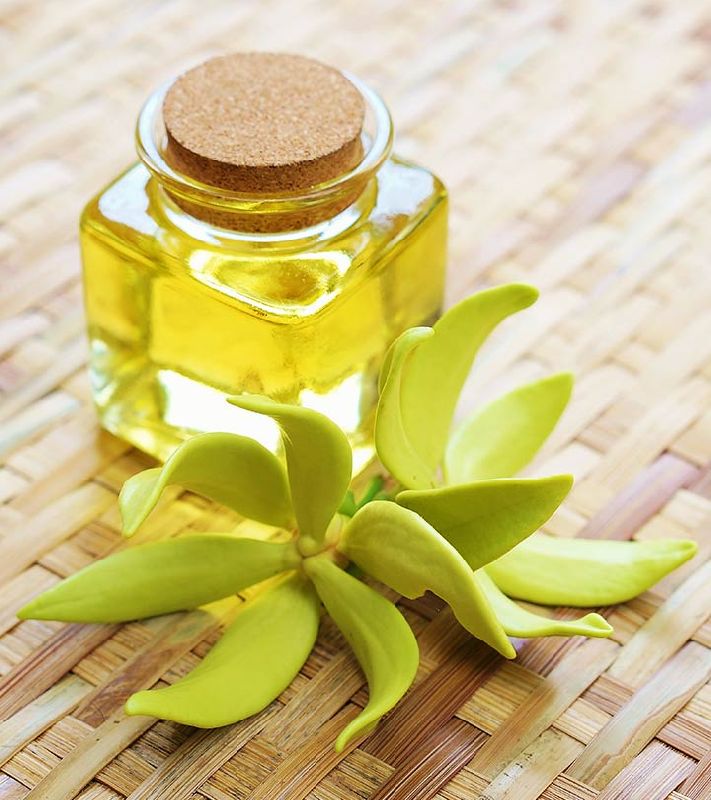 Ylang Ylang Oil