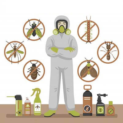 Termite Control Service