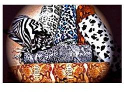 Animal Printed Pashmina Shawl