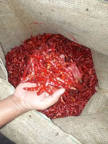Sannam 334 Dried Red Chilli