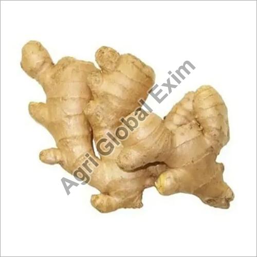 Fresh Ginger