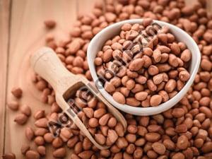 Groundnut Kernels