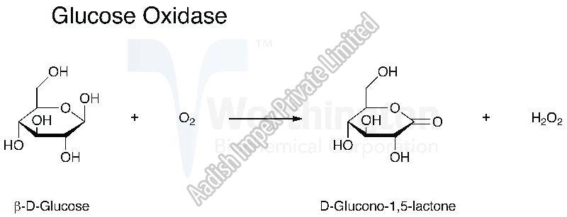 Glucose Oxidase