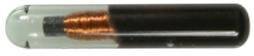 RFID Microchip Implant