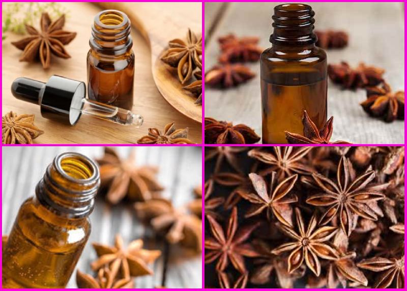 Cinnamon Oil Manufacturer,Cinnamon Oil Supplier and Exporter from Budaun  India
