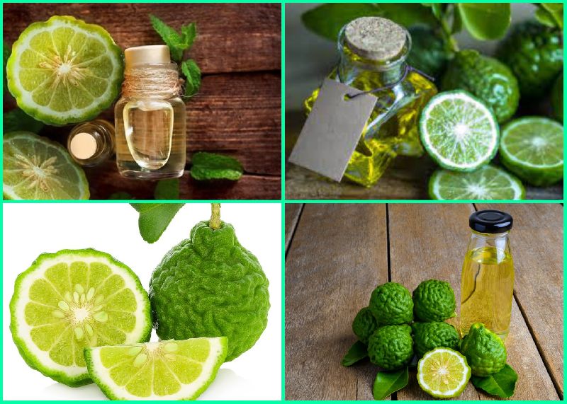 Bergamot Oil