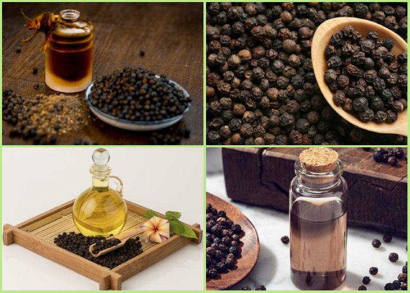 Cinnamon Oil Manufacturer,Cinnamon Oil Supplier and Exporter from Budaun  India