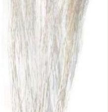Bleached White Lady Dried Flowers