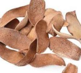 Dried Mahagony Spoon