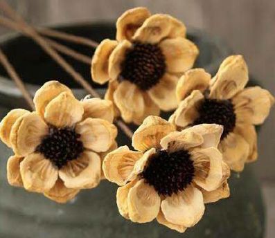 Dried Sunflower with Stick