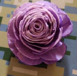 Purple Sola Flower