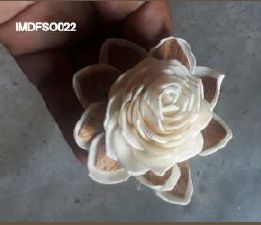 Sola Rose Flower