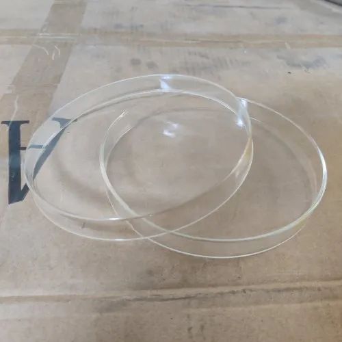 8 Inch Glass Petri Dish