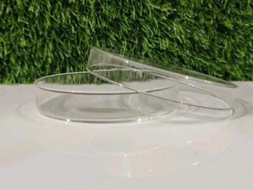 80x17mm Glass Petri Dish
