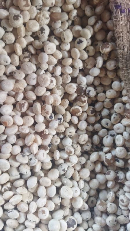 Polished Nirmali Seeds