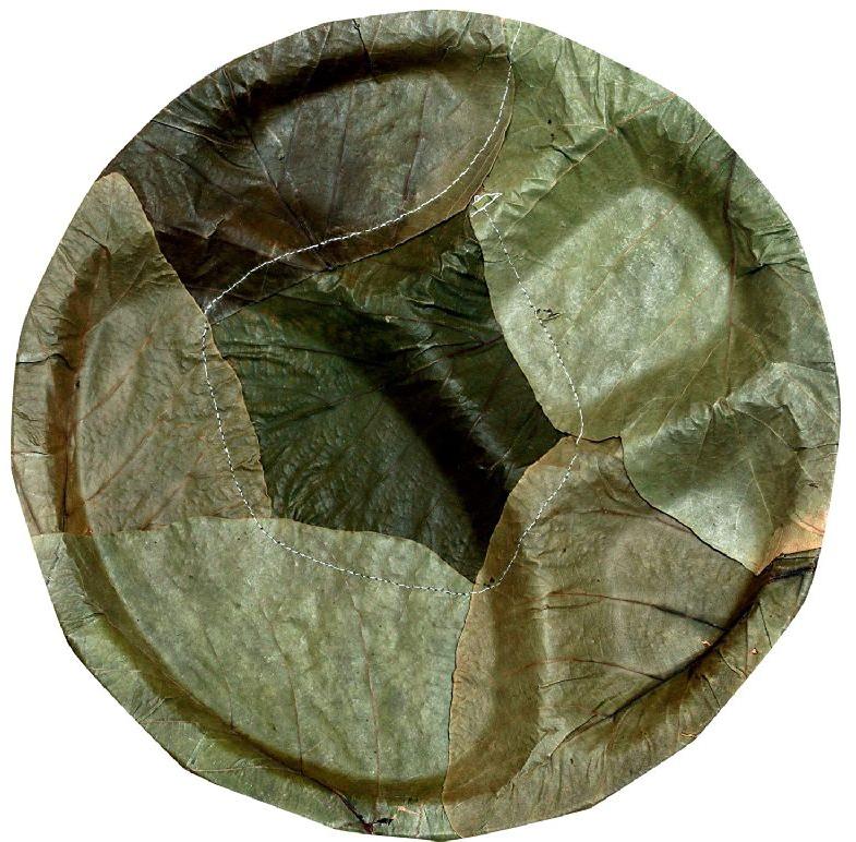 10 Inch Palash Leaf Plate