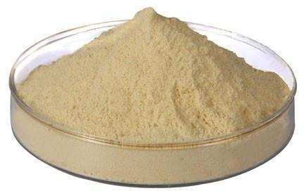 Zinc Protein Hydrolysate Powder