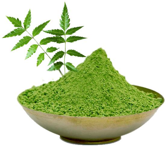 Neem Powder